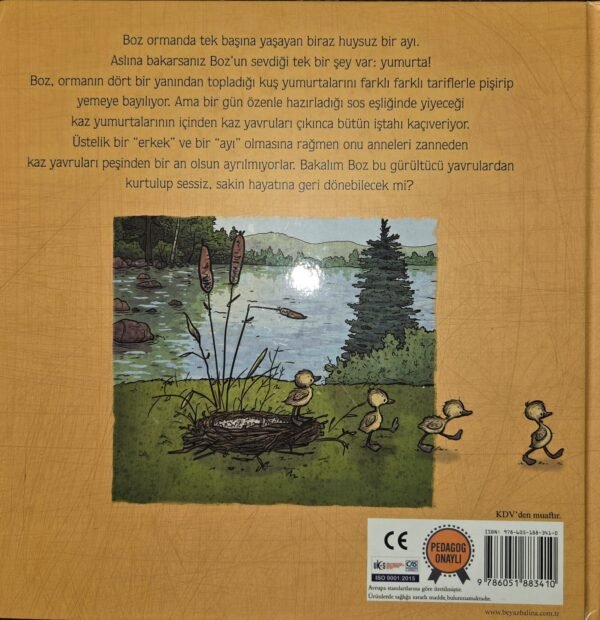 Beyaz Balina Yayınları Anne Boz - Görsel 3