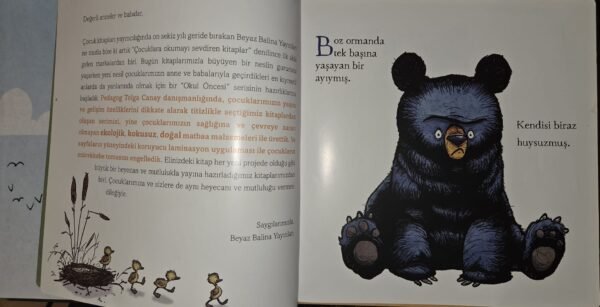 Beyaz Balina Yayınları Anne Boz - Görsel 2